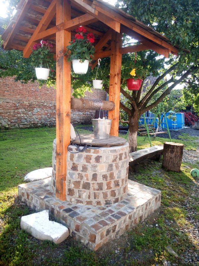Casa Din Barcut Guest House Exterior photo